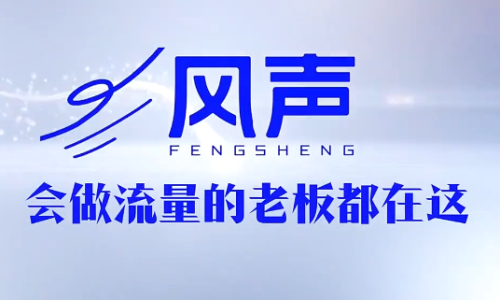 董十一·风声短视频AI获客年度会员_拾壹资源网