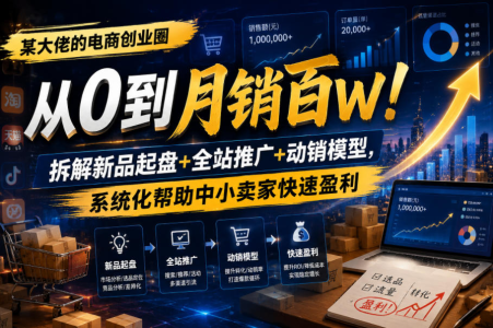 某大佬的电商创业圈从0到月销百W！拆解新品起盘+全站推广+动销模型，系统化帮助中小卖家快速盈利_拾壹资源网