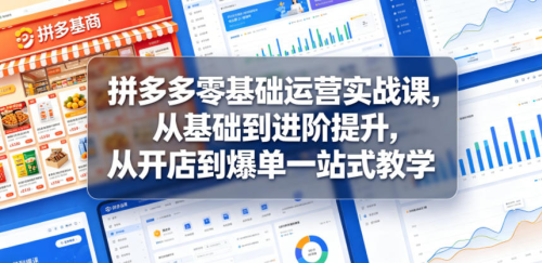 拼多多零基础运营实战课，从基础到进阶提升，从开店到爆单一站式教学_拾壹资源网