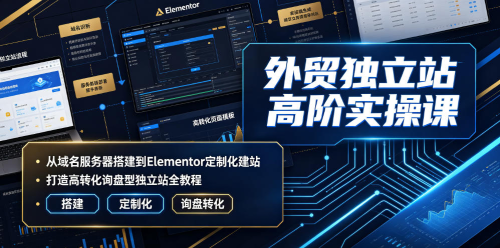 外贸独立站高阶实操课｜从域名服务器搭建到Elementor定制化建站，打造高转化询盘型独立站全教程_拾壹资源网