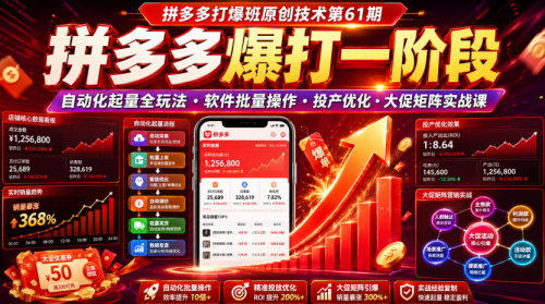 拼多多打爆班原创技术第61期，拼多多爆打一阶段，自动化起量全玩法·软件批量操作·投产优化·大促矩阵实战课_拾壹资源网