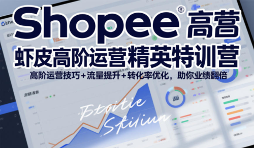 Shopee虾皮高阶运营精英特训营，高阶运营技巧+流量提升+转化率优化，助你业绩翻倍（更新26年7月）_拾壹资源网