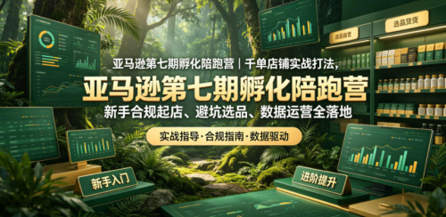 亚马逊第七期孵化陪跑营｜千单店铺实战打法，新手合规起店、避坑选品、数据运营全落地（更新0625）_拾壹资源网