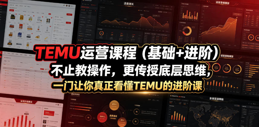 图片[1]_TEMU运营课程（基础+进阶），不止教操作，更传授底层思维，一门让你真正看懂TEMU的进阶课
