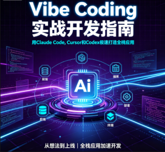 Vibe Coding实战开发指南_ 用Claude Code, Cursor和Codex极速打造全栈应用_拾壹资源网