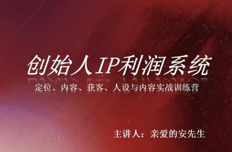 创始人IP利润系统8月训练营，定位、内容、获客、人设与内容实战训练营_拾壹资源网