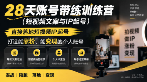 28天账号带练训练营（短视频文案与IP起号），直接落地短视频IP起号，打造能涨粉、能变现的个人账号_拾壹资源网