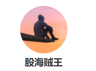 股海贼王－－淘县历史帖子直播视频+交割单合集2012-2026(龙头选手实盘选手)_拾壹资源网
