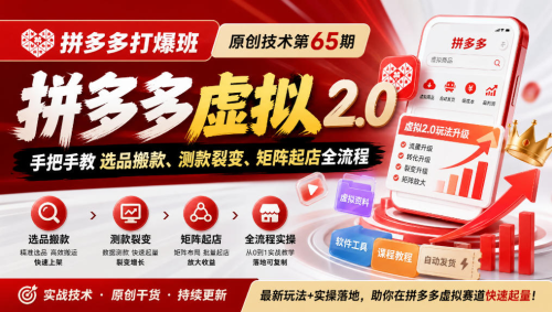 叮当会《拼多多打爆班》原创技术第65期，拼多多虚拟2.0，手把手教选品搬款、测款裂变、矩阵起店全流程_拾壹资源网